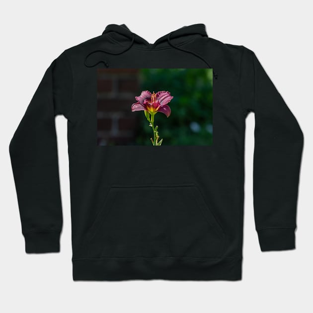 Day Lily Portrait Hoodie by Imagery